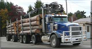 Lumber company expedites shipping procedures