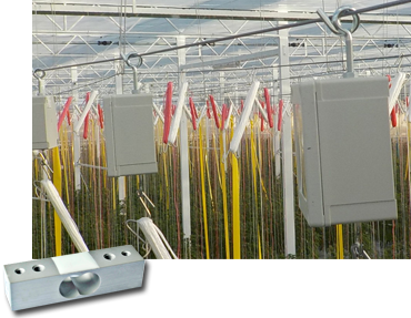 Force Sensors used for Weight Measurement for fruit and vegetables