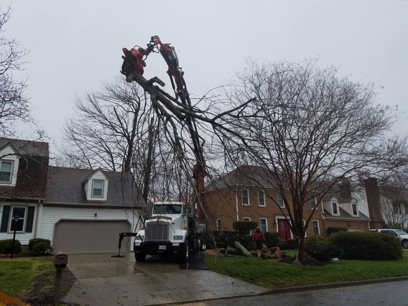 Arborist Adds SP Load Pin to Tree Felling Toolkit