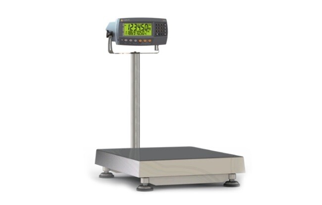 Rinstrum launched countR Scales