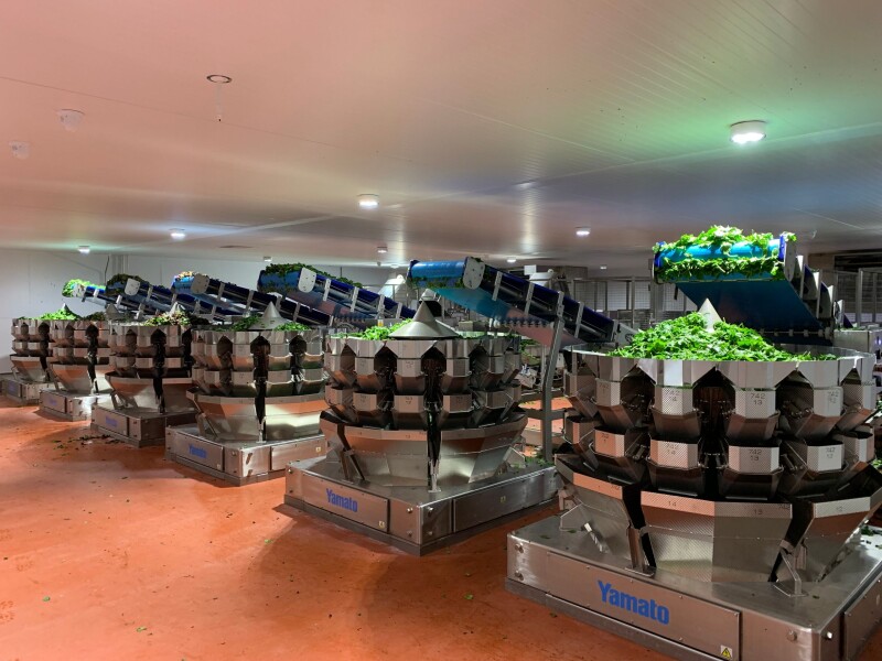 Yamato Scale Dataweigh Helps Natures Way Foods Create the Largest Salad Production Facility in Europe