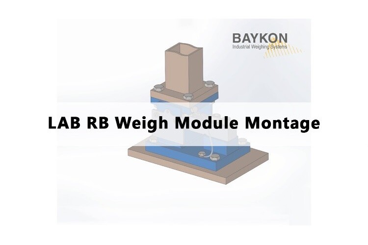 Article by Baykon Inc.: LAB RB Weigh Module Montage